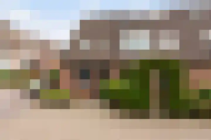 De Enk 80 Ermelo thumbnail 4