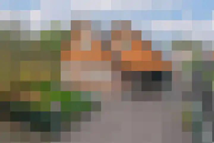 De Entergraven 10 Westerhaar-Vriezenveensewijk