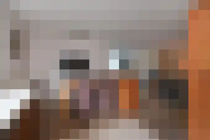 De Entergraven 10 Westerhaar-Vriezenveensewijk thumbnail 17
