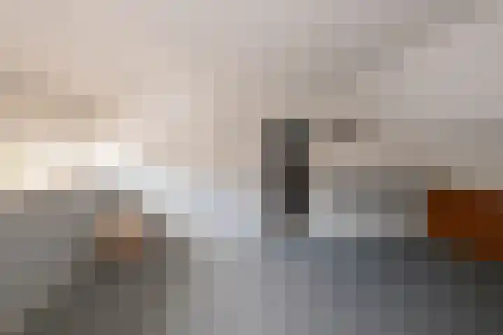 De Entergraven 10 Westerhaar-Vriezenveensewijk thumbnail 30