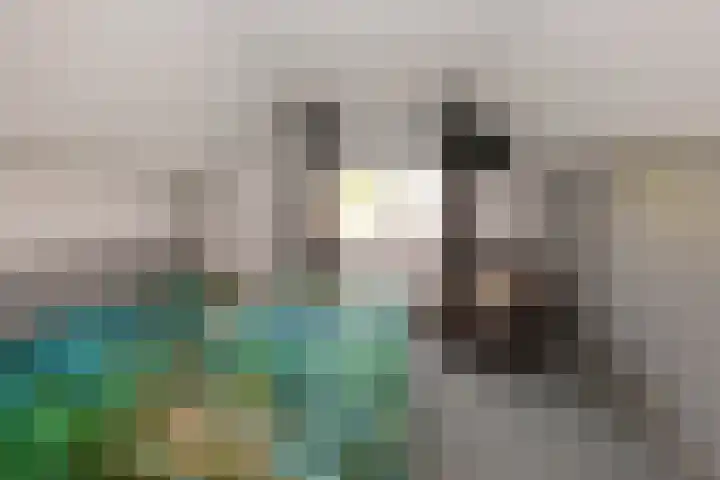 De Entergraven 10 Westerhaar-Vriezenveensewijk thumbnail 32