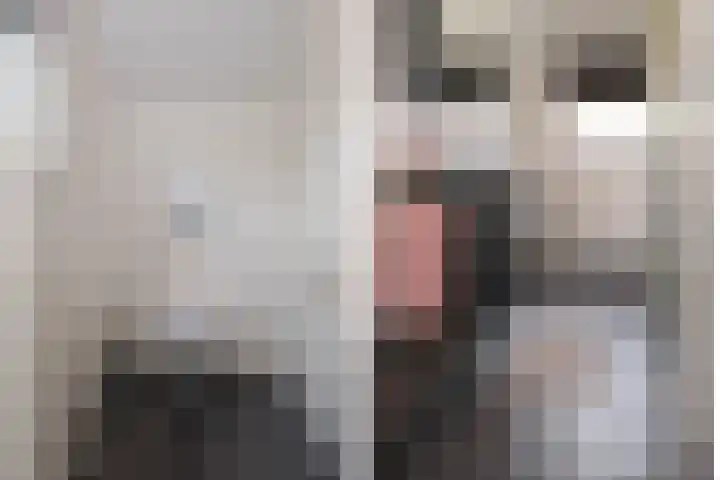 De Entergraven 10 Westerhaar-Vriezenveensewijk thumbnail 36