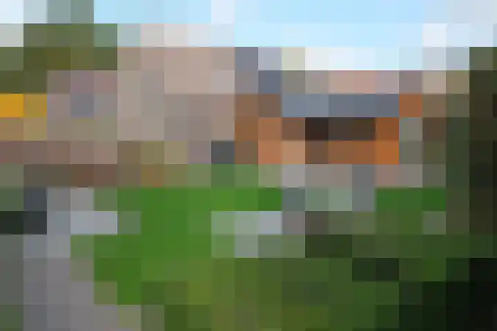 De Entergraven 10 Westerhaar-Vriezenveensewijk thumbnail 41