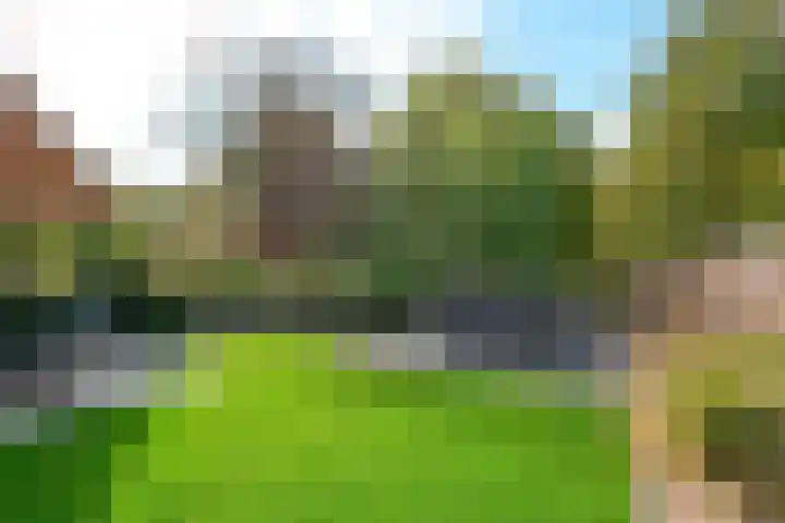 De Entergraven 10 Westerhaar-Vriezenveensewijk thumbnail 43