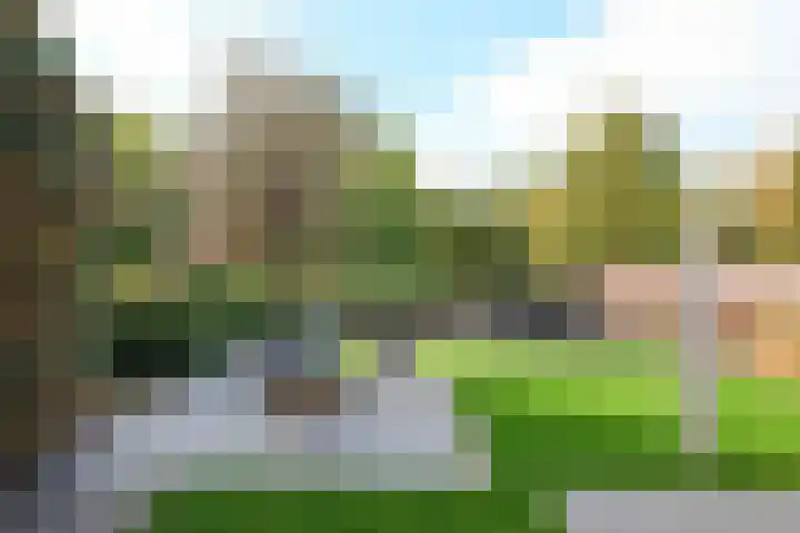 De Entergraven 10 Westerhaar-Vriezenveensewijk thumbnail 44
