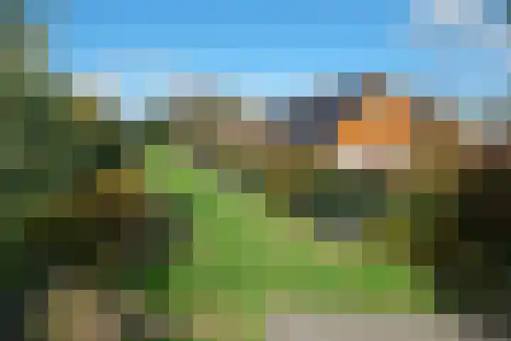 De Entergraven 10 Westerhaar-Vriezenveensewijk thumbnail 45