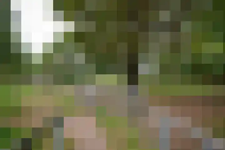 De Entergraven 10 Westerhaar-Vriezenveensewijk thumbnail 46