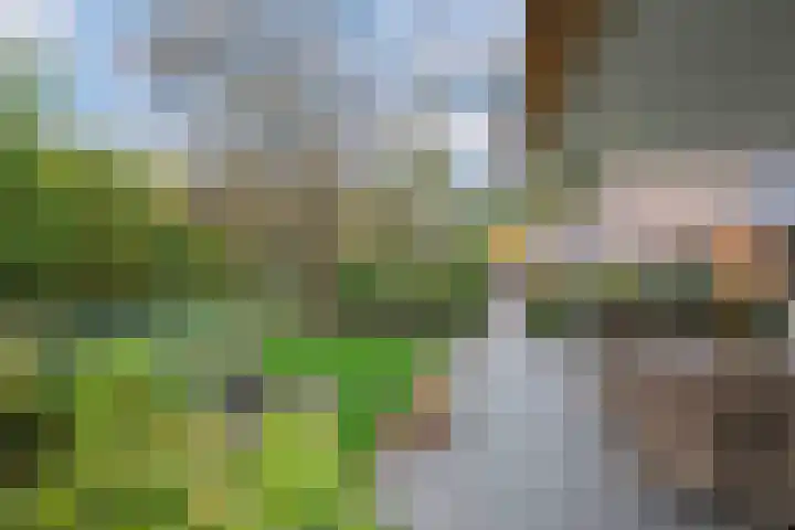 De Entergraven 10 Westerhaar-Vriezenveensewijk thumbnail 6