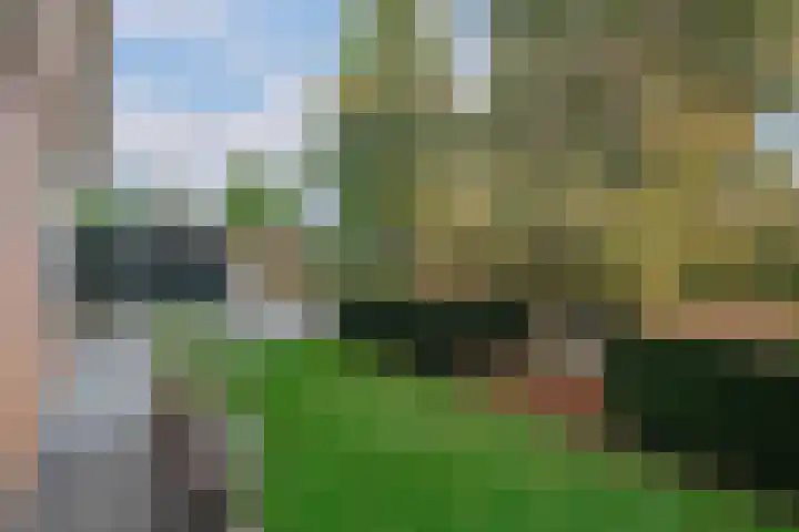 De Entergraven 10 Westerhaar-Vriezenveensewijk thumbnail 7