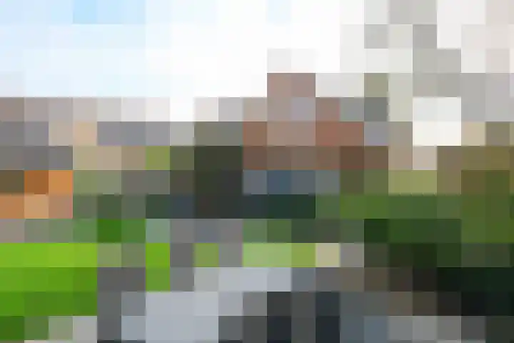 De Entergraven 10 Westerhaar-Vriezenveensewijk thumbnail 8