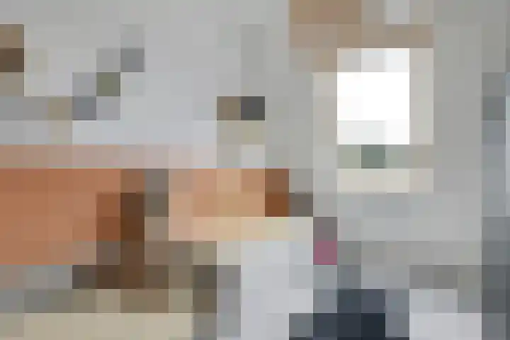 De Ereboog 26 Enschede thumbnail 15