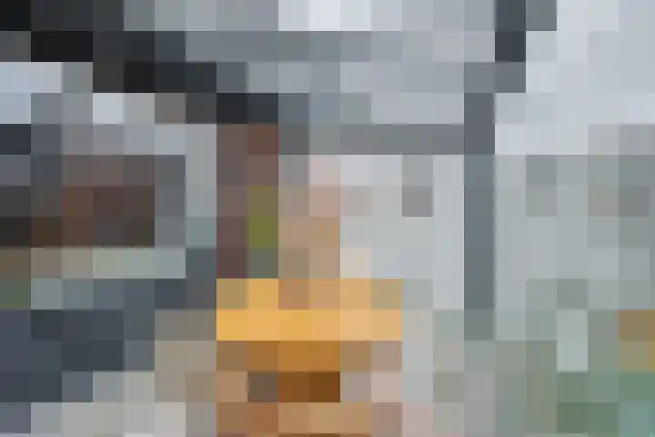 De Ereboog 26 Enschede thumbnail 25
