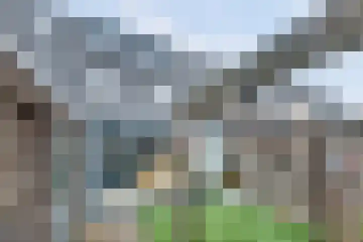 De Ereboog 26 Enschede thumbnail 26