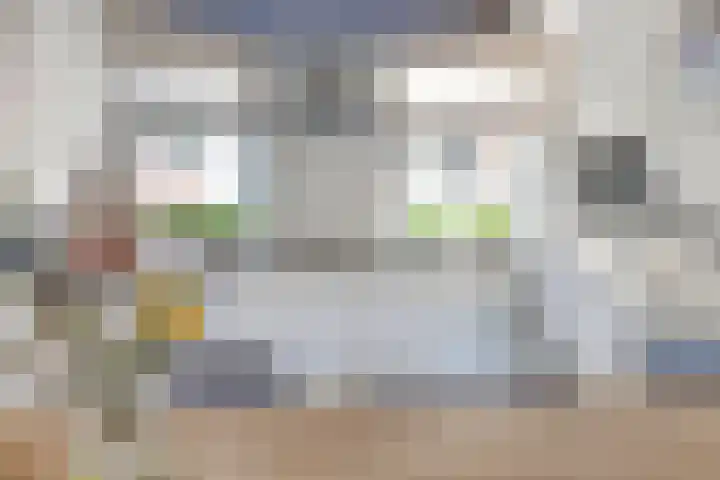 De Ereboog 32 Enschede thumbnail 13