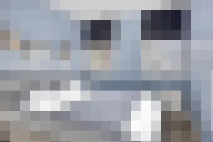 De Ereboog 32 Enschede thumbnail 17