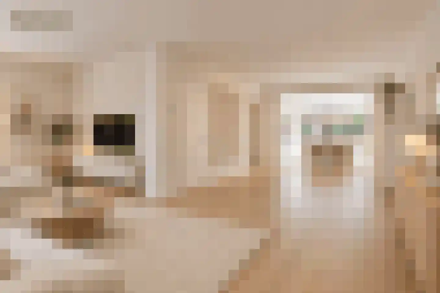 De Erk 10 Margraten thumbnail 11