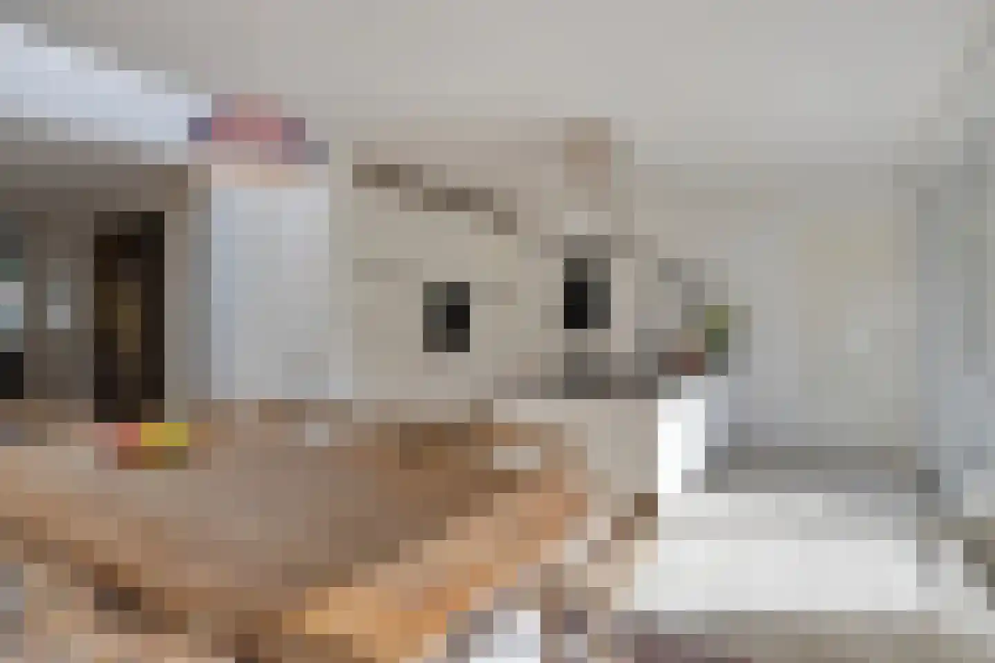 De Erk 10 Margraten thumbnail 17