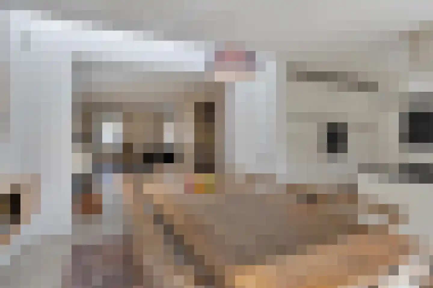 De Erk 10 Margraten thumbnail 18