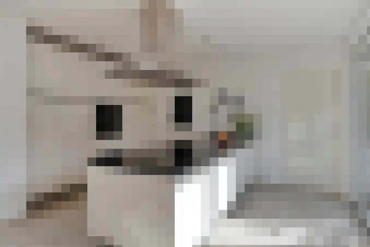 De Erk 10 Margraten thumbnail 19