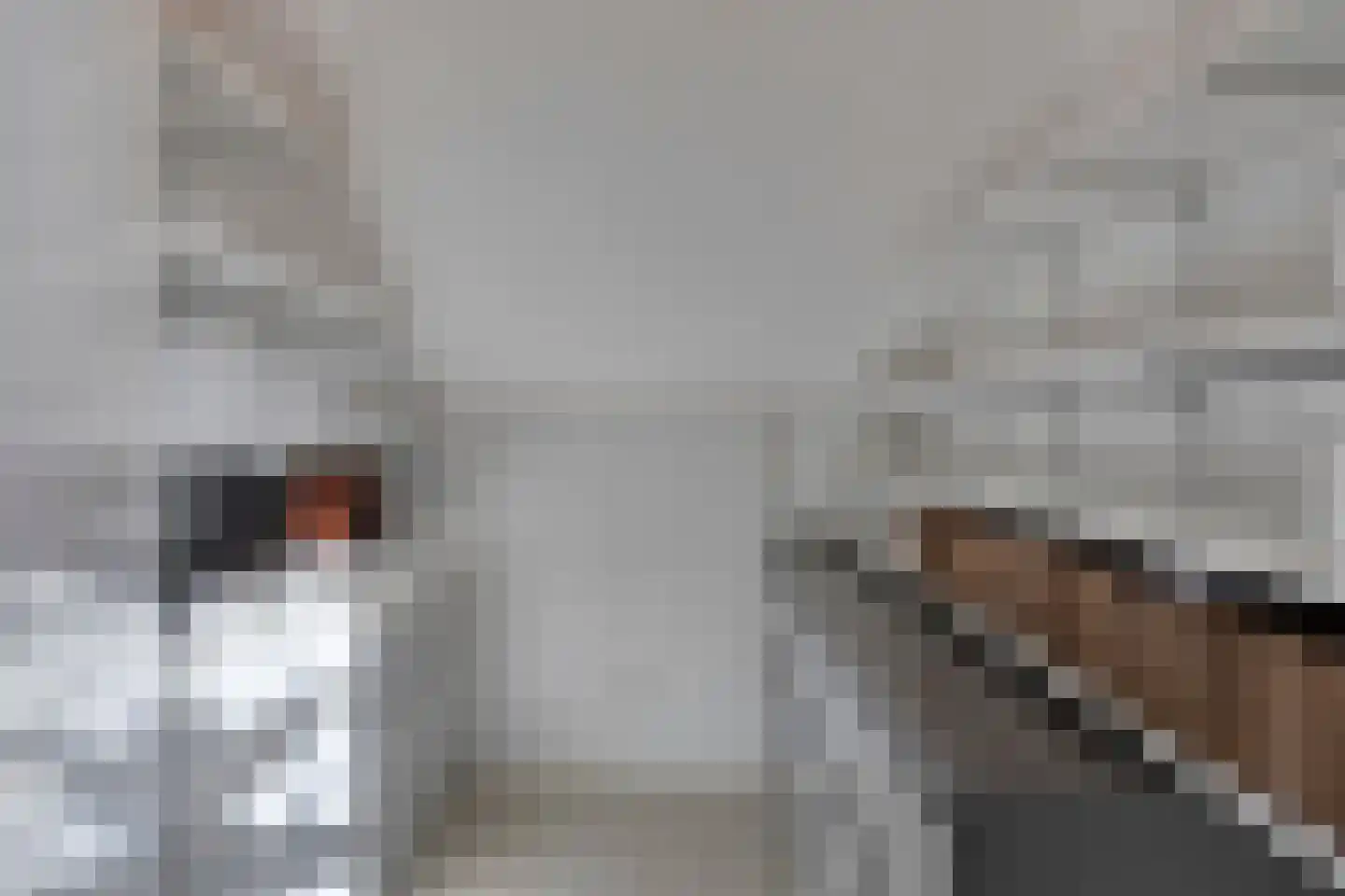 De Erk 10 Margraten thumbnail 42