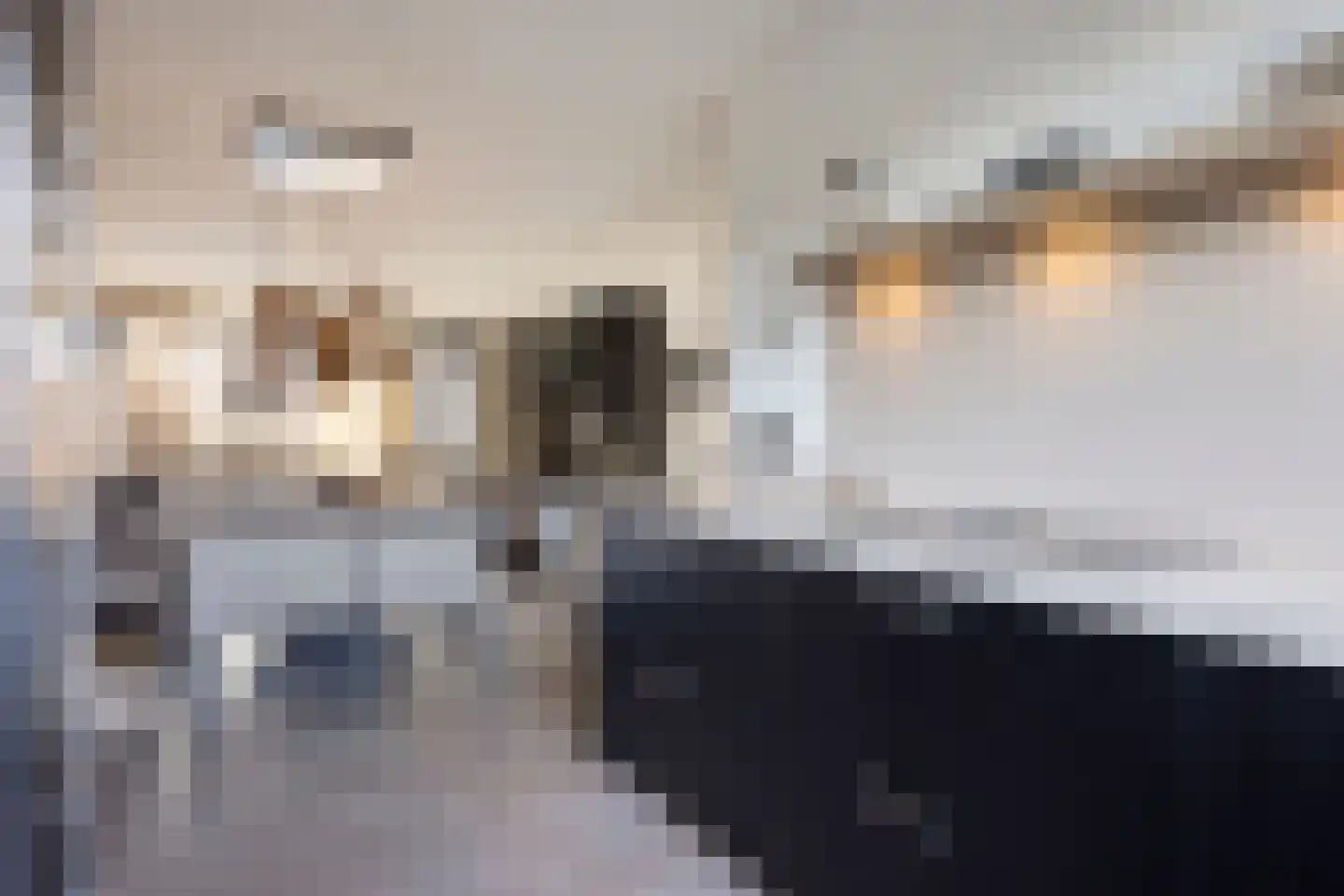 de Erker 24 A Werkendam thumbnail 10