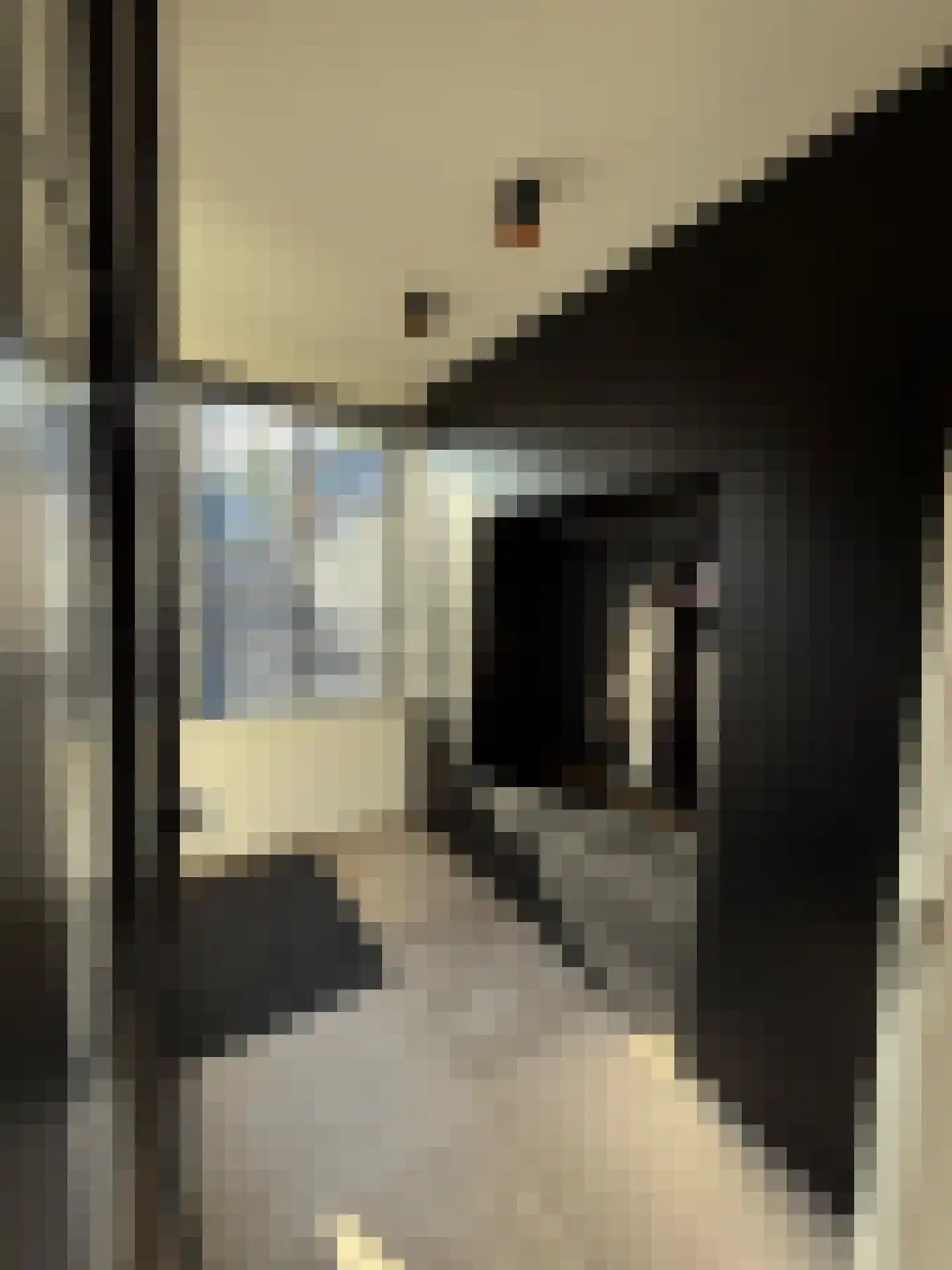 de Erker 24 A Werkendam thumbnail 27