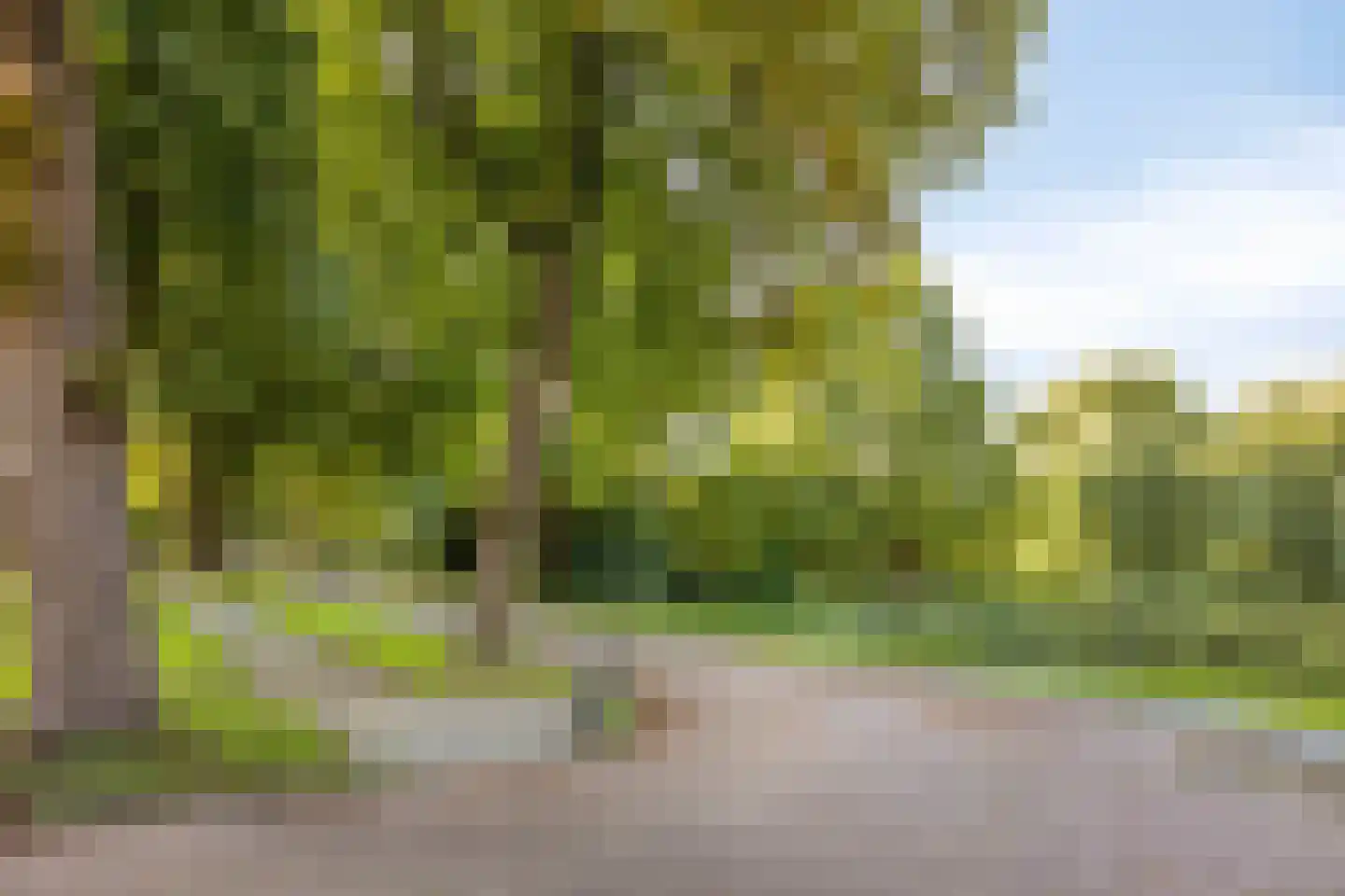 de Erker 24 A Werkendam thumbnail 29