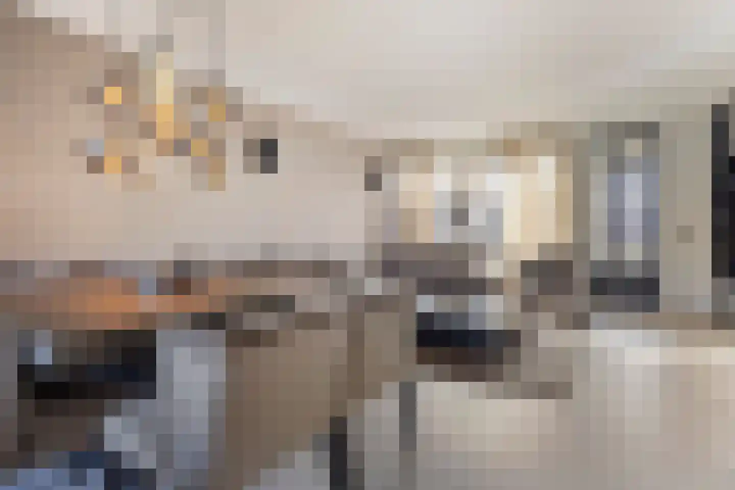de Erker 24 A Werkendam thumbnail 5