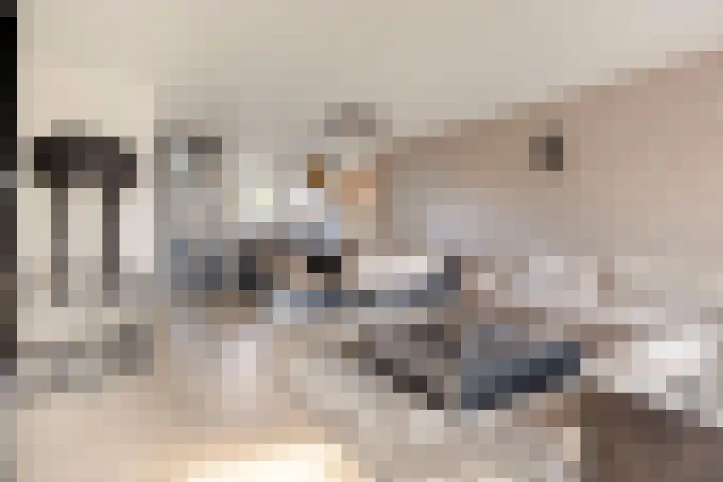 de Erker 24 A Werkendam thumbnail 6