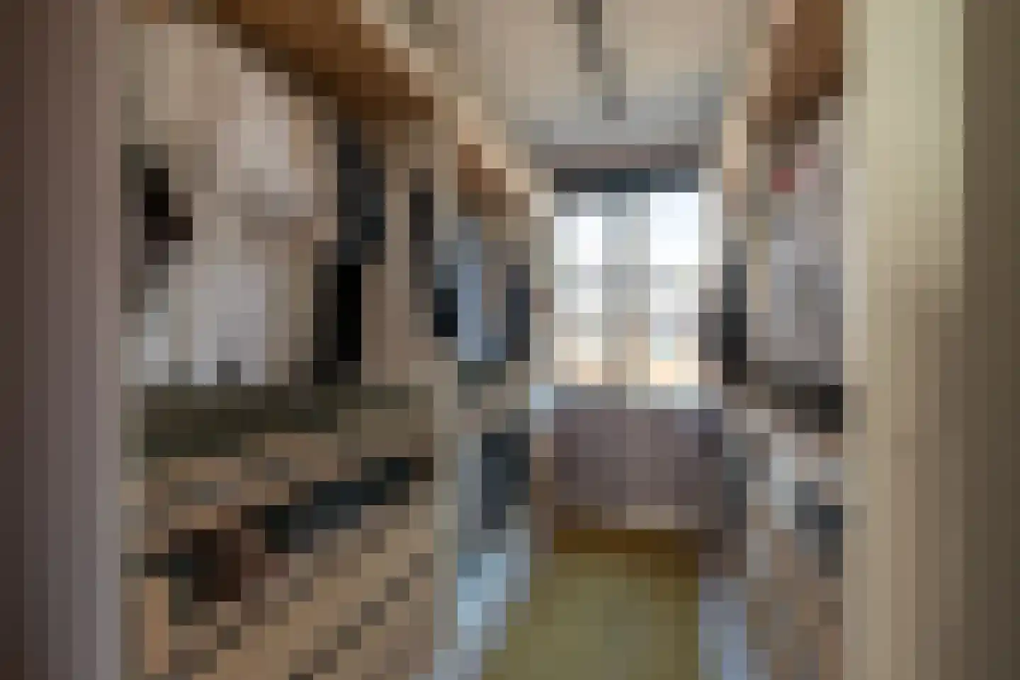 de Erker 24 D Werkendam thumbnail 17