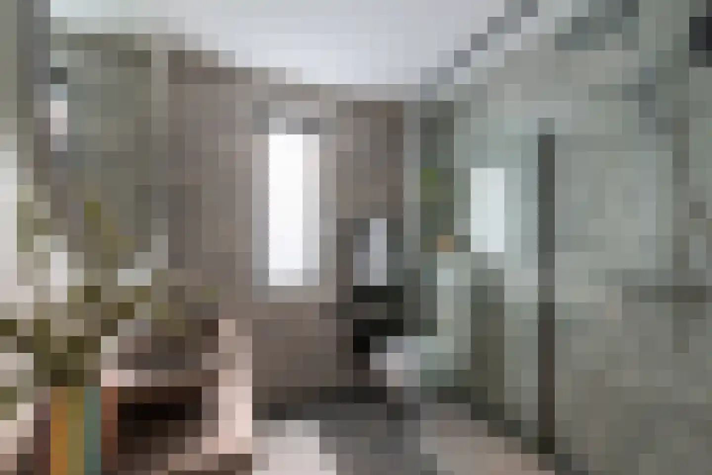 de Erker 24 D Werkendam thumbnail 18