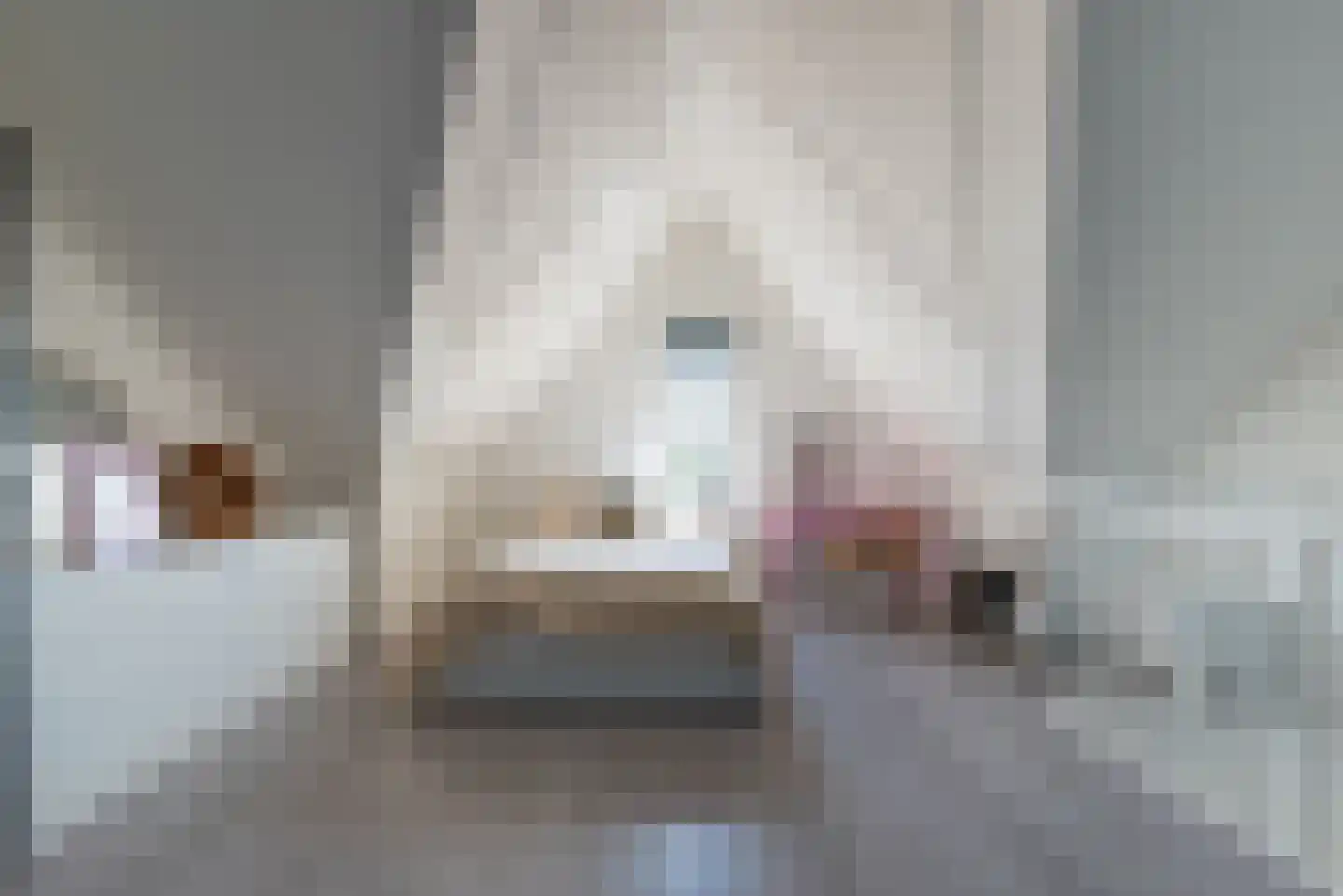 de Erker 24 D Werkendam thumbnail 20