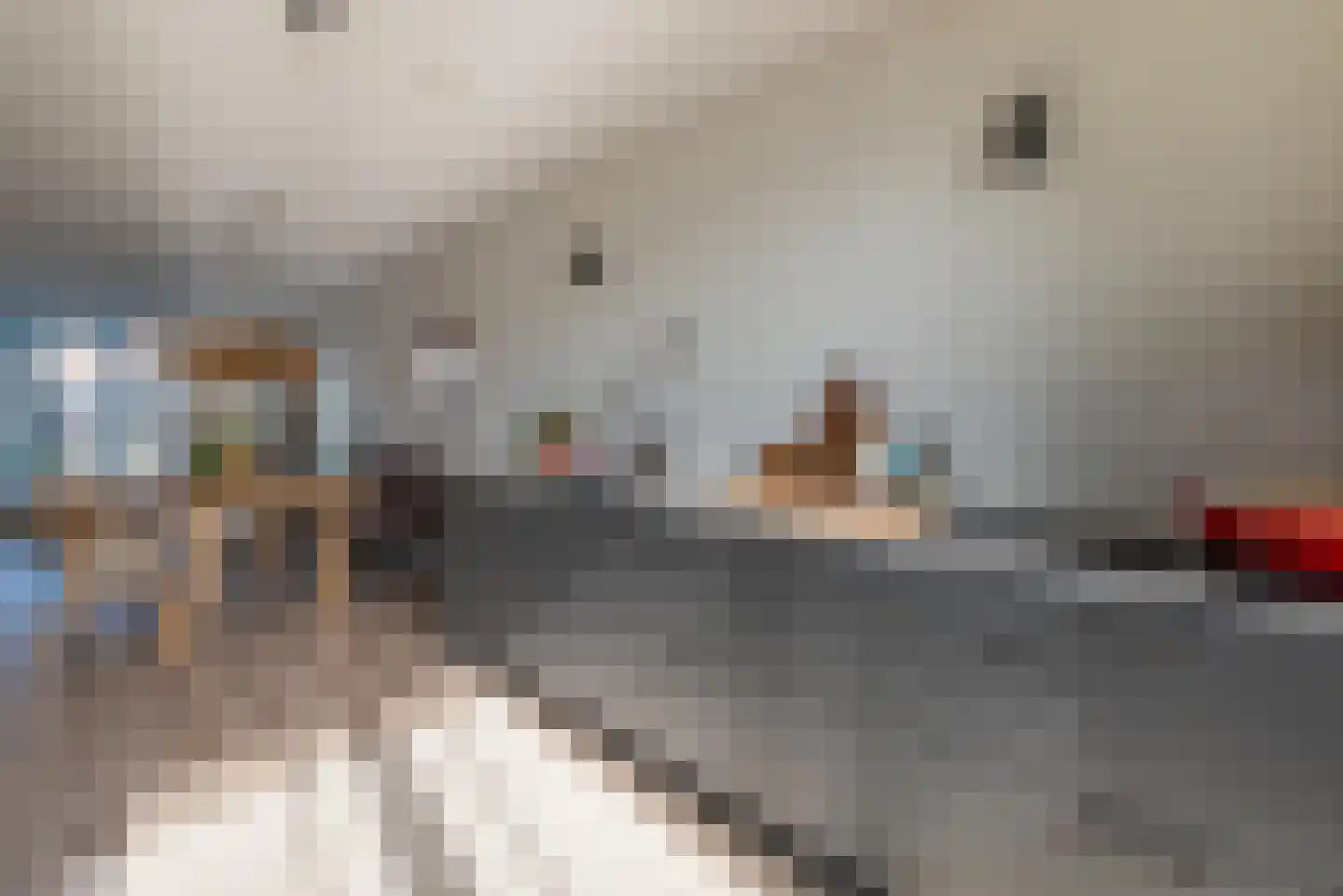 de Erker 24 D Werkendam thumbnail 8