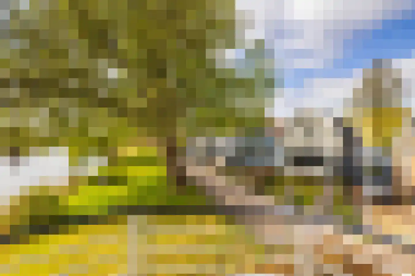 De Erven 7 Broek in Waterland thumbnail 36
