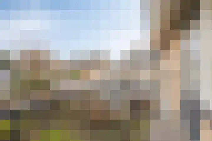 de Esch 15 Losser thumbnail 28
