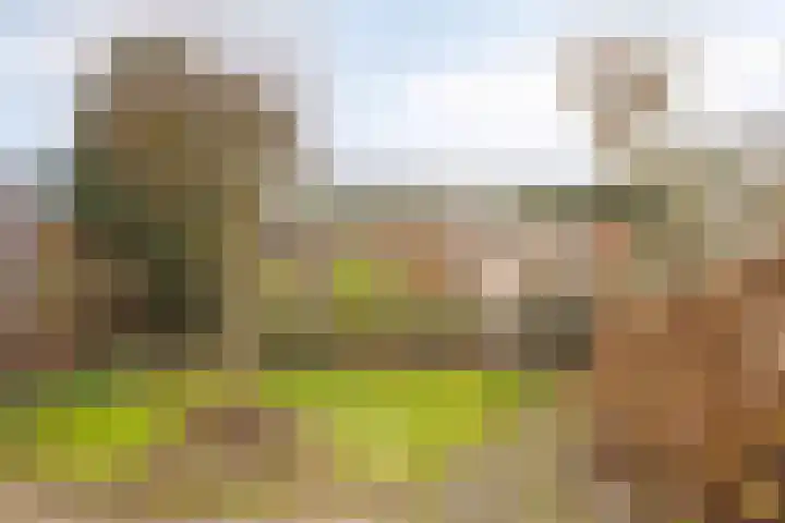 de Esch 15 Losser thumbnail 29
