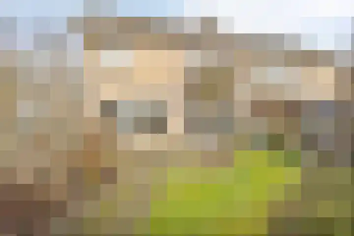de Esch 15 Losser thumbnail 31