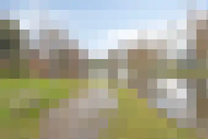 de Esch 15 Losser thumbnail 32