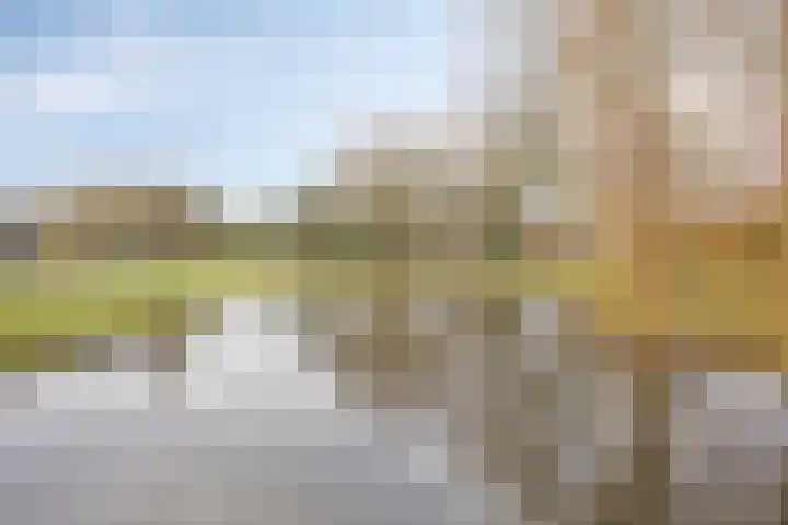 de Esch 15 Losser thumbnail 33