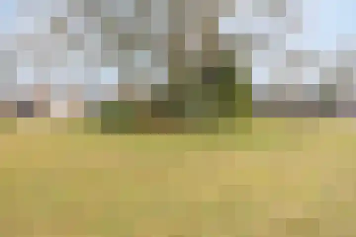 de Esch 15 Losser thumbnail 34