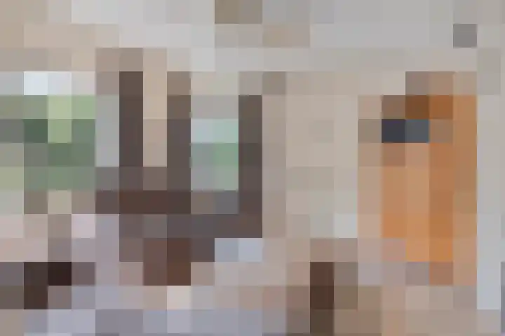 de Esch 15 Saasveld thumbnail 12