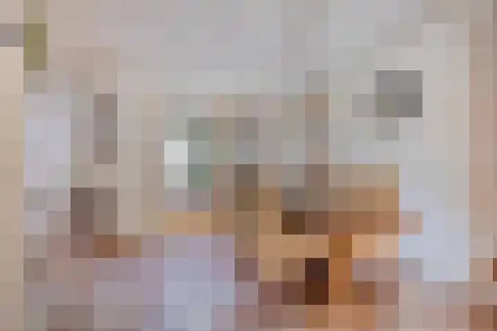 de Esch 15 Saasveld thumbnail 17