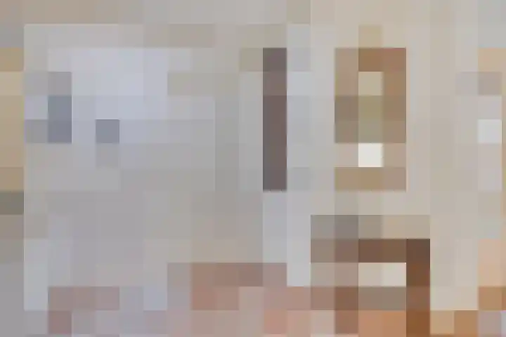 de Esch 15 Saasveld thumbnail 21