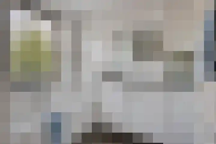 de Esch 15 Saasveld thumbnail 29