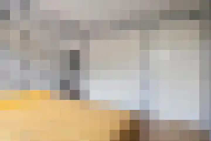 de Esch 15 Saasveld thumbnail 32