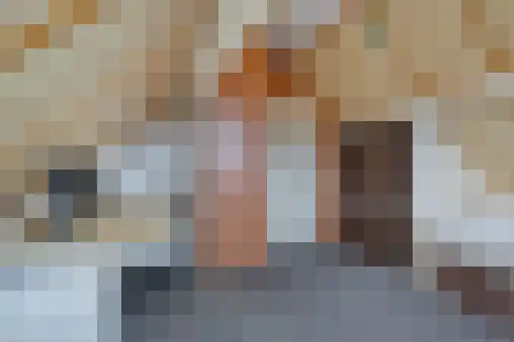 de Esch 15 Saasveld thumbnail 36