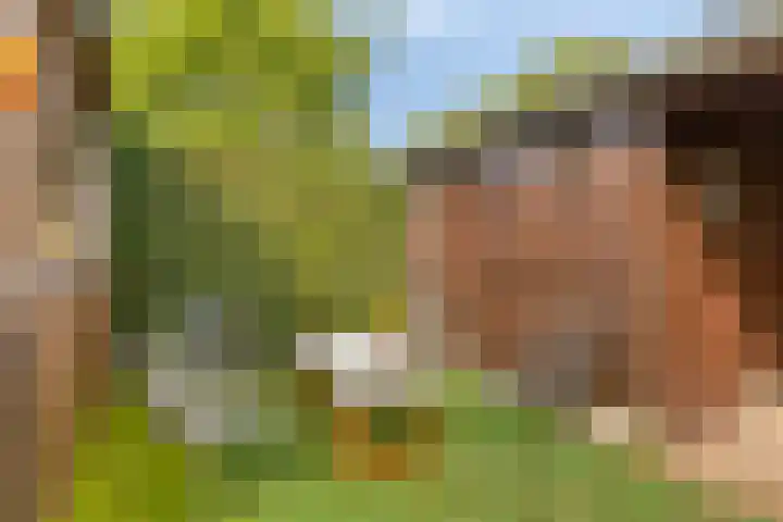 de Esch 15 Saasveld thumbnail 41