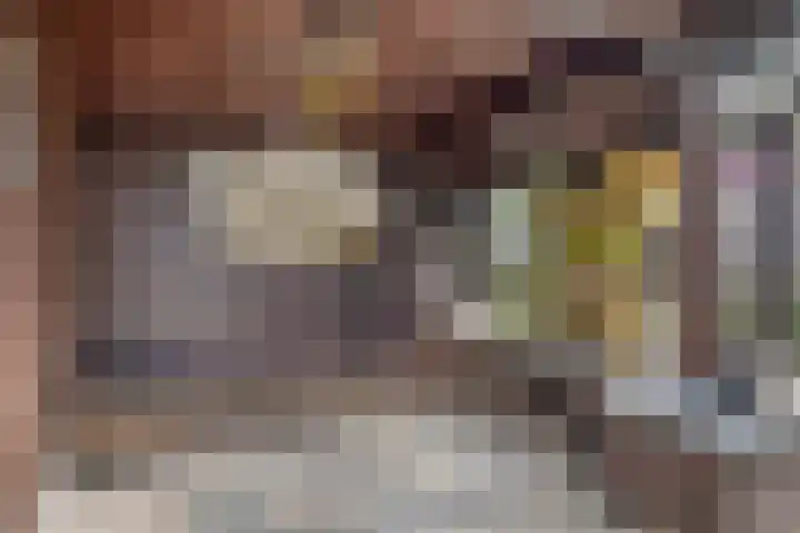 de Esch 15 Saasveld thumbnail 42
