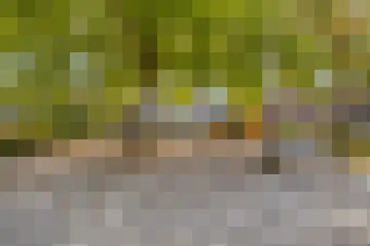 de Esch 15 Saasveld thumbnail 45