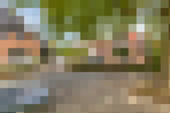 de Esch 15 Saasveld thumbnail 46